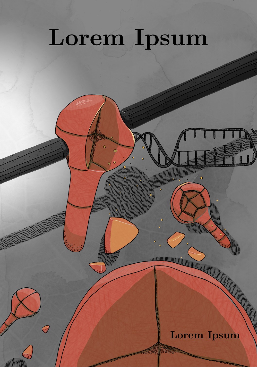 Plant embryo mechanobiology
