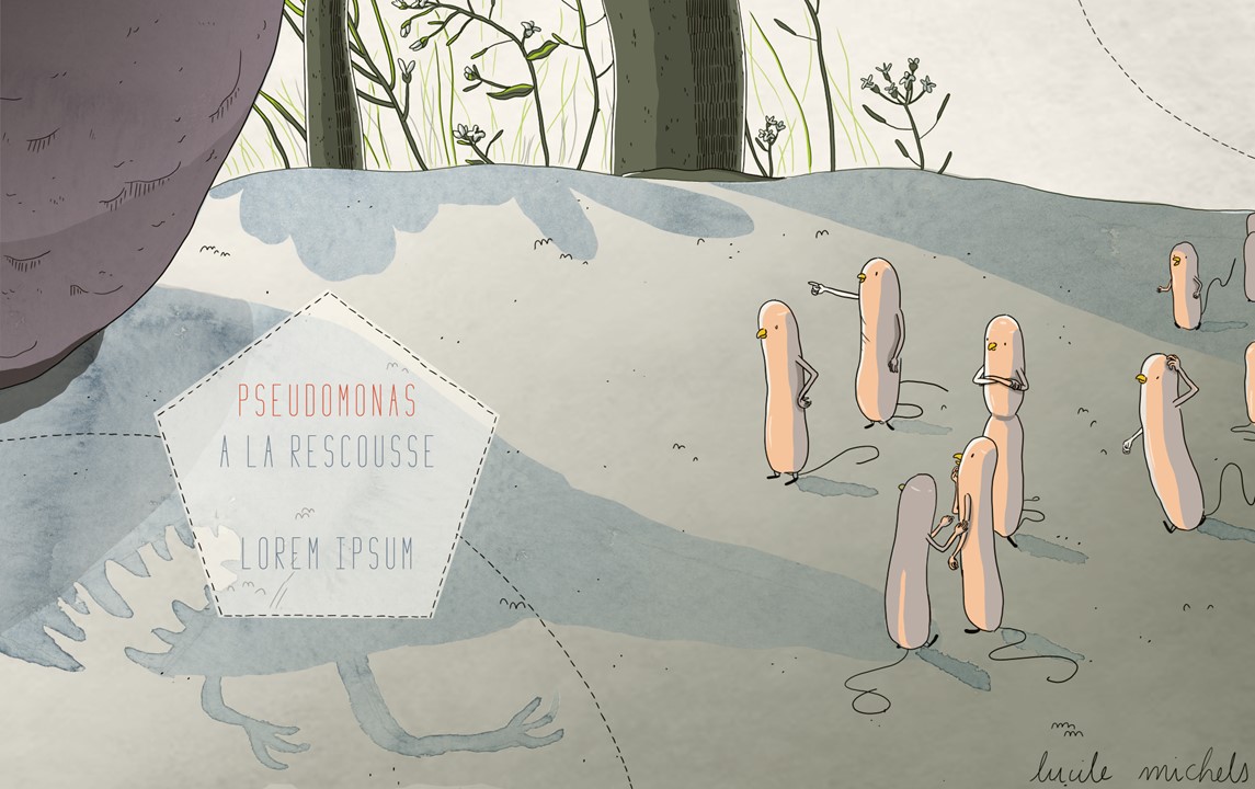 Pseudomonas to the rescue
